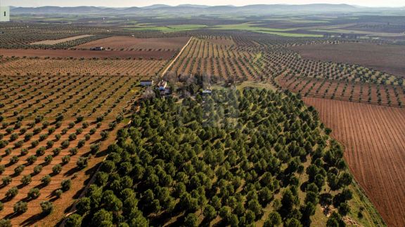 UNA QUINTERIA MANCHEGA CONVERTIDA EN VIVIENDA ECOLOGICA